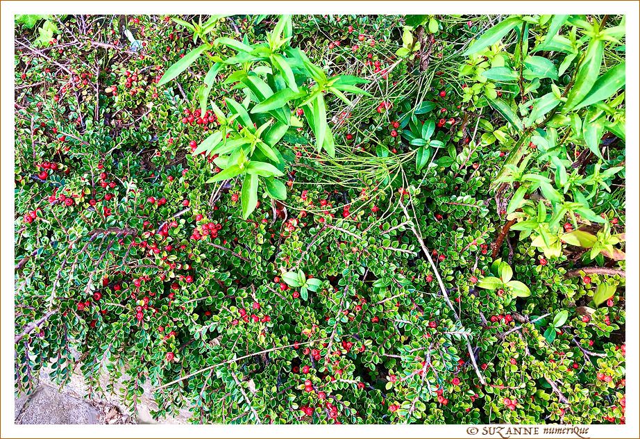 V'l� l'Automne 2022 -04- -- 20/10/22