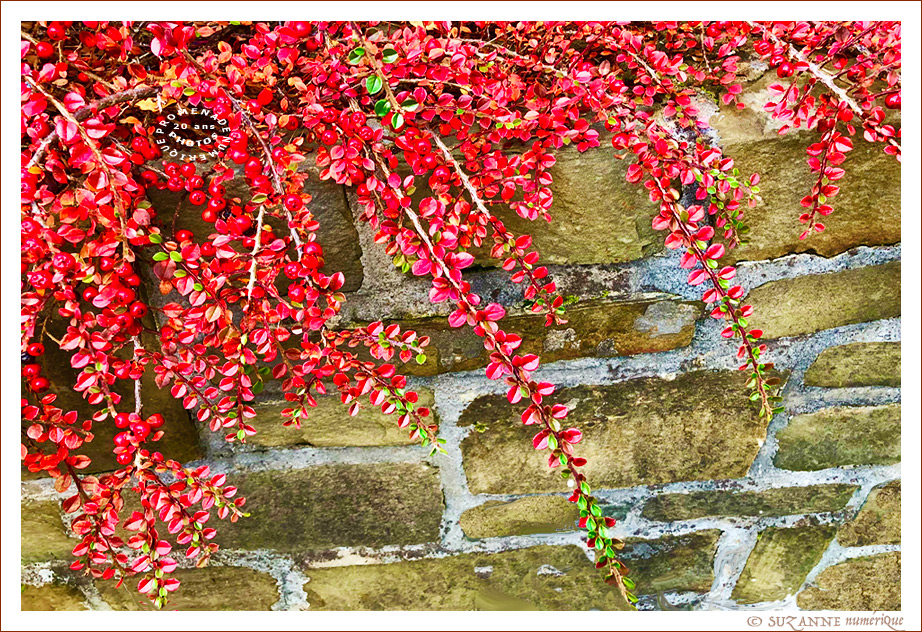 V'l� l'Automne 2024 -04- -- 03/12/24