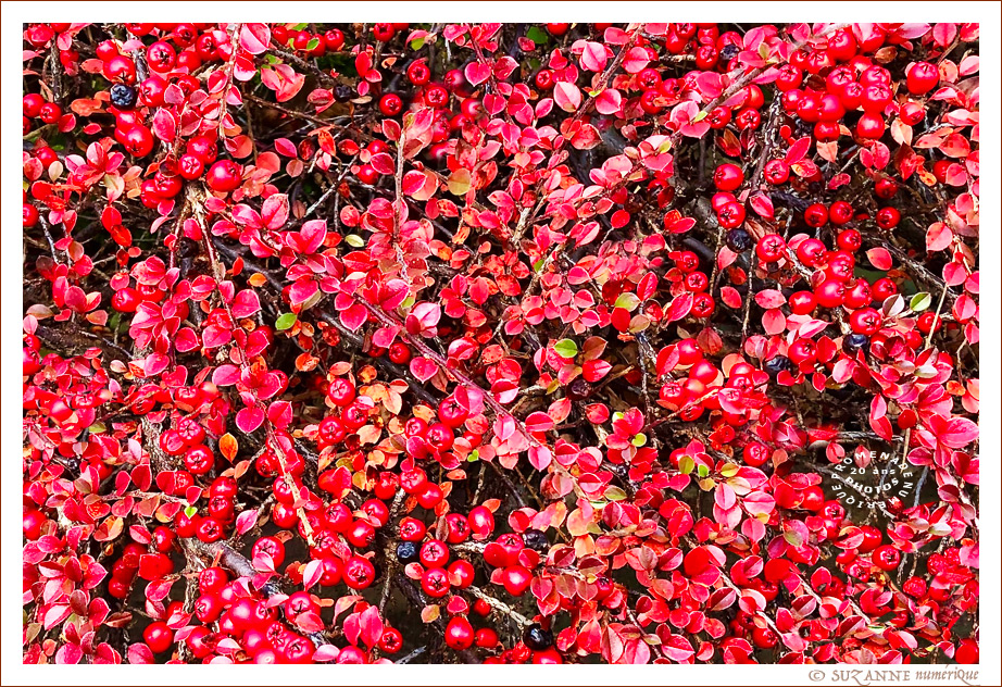 V'l� l'Automne 2024 -05- -- 09/12/24