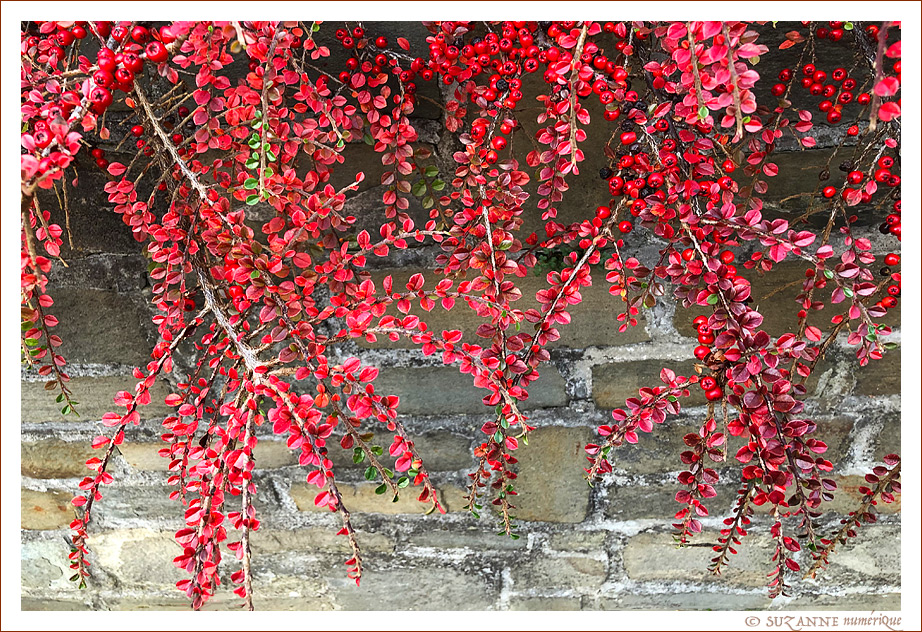 V'l� l'Automne 2025 -01- -- 19/11/25