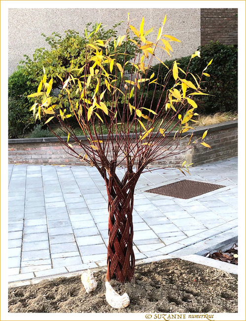 Treillis tress� -- 08/12/18