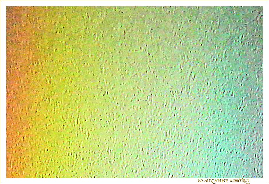 Les couleurs de la Pluie -- 29/03/11