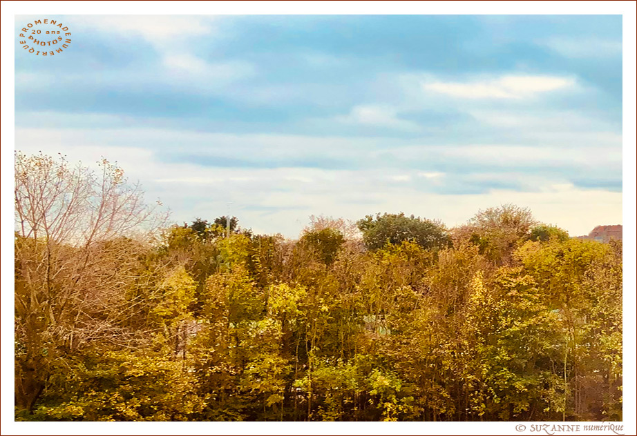 V'l� l'Automne 2024 -03- -- 17/11/24