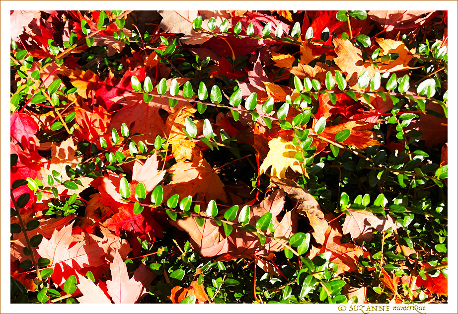 V'l� l'Automne 2023 -01- -- 28/10/23