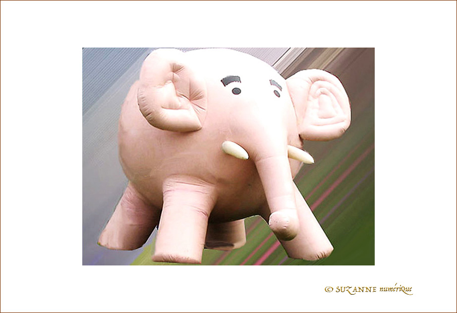 El�phant Vole�! -- 18/05/06
