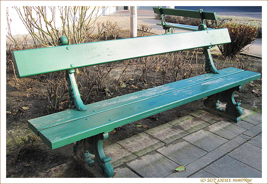 Vertes solitudes