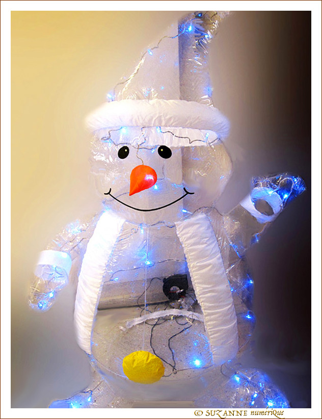 Il Neige�! Abritons-nous�! -- 16/01/13