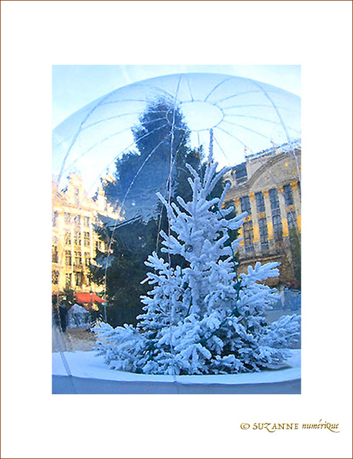 Plaisirs d'hiver 2005 -6- -- 24/12/05