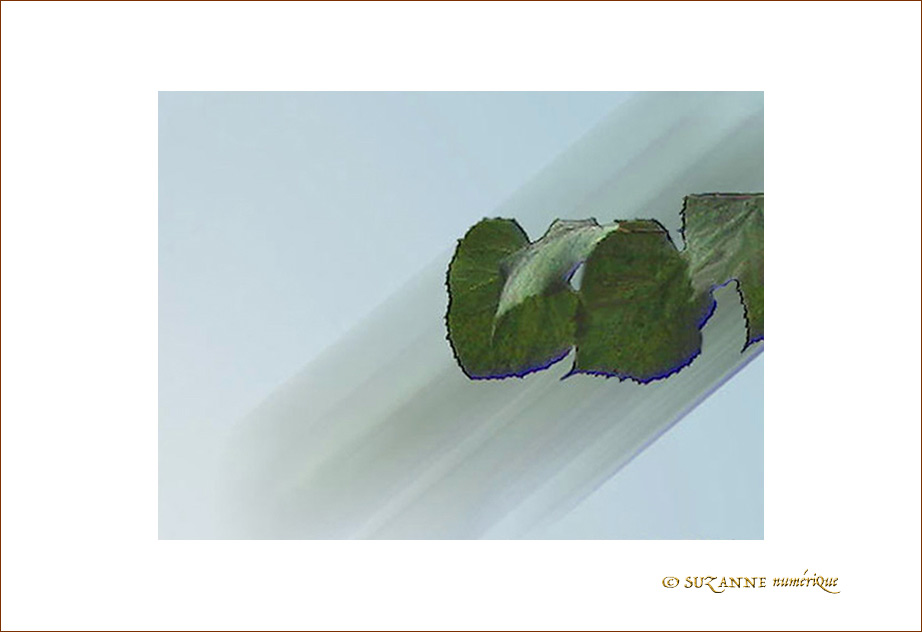 Brouillard, brouill�, brouillon... -- 07/10/05