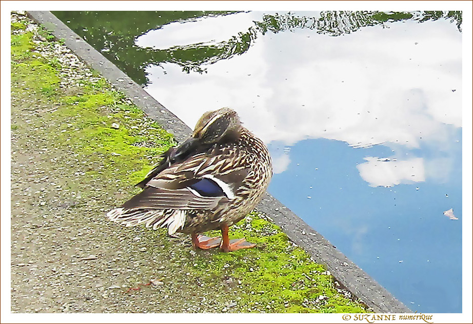 J'h�site�! Est-ce vraiment un Temps pour se jeter � l'Eau�? -- 07/08/12