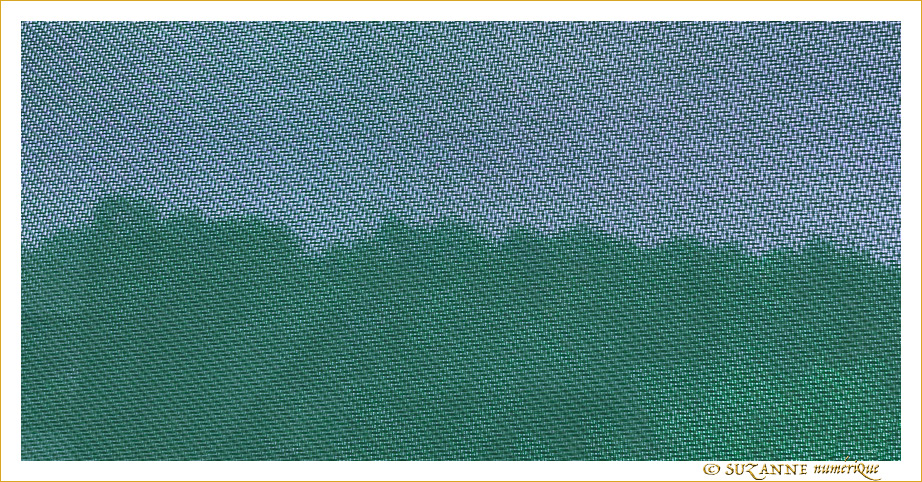 En Bleu et Vert, l'�t� 2020 tamis� -- 11/08/20