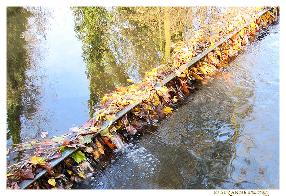 Petite cascade d'automne -- 01/12/09