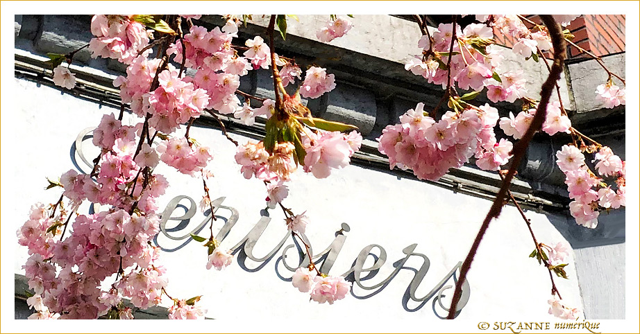 Quand les Rues de Bruxelles se japonisent - 004 - 2021 -- 30/04/21