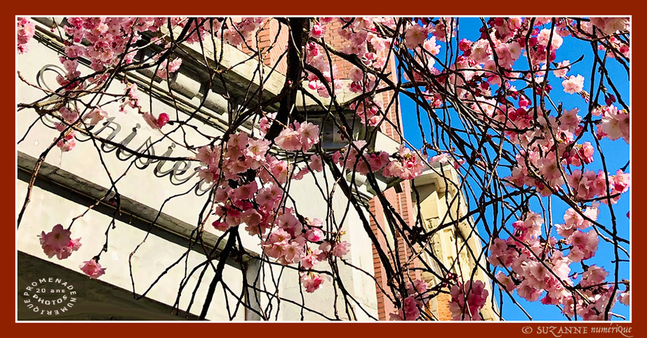 Quand les Rues de Bruxelles se japonisent - 001 - 2025 - -- 05/04/25