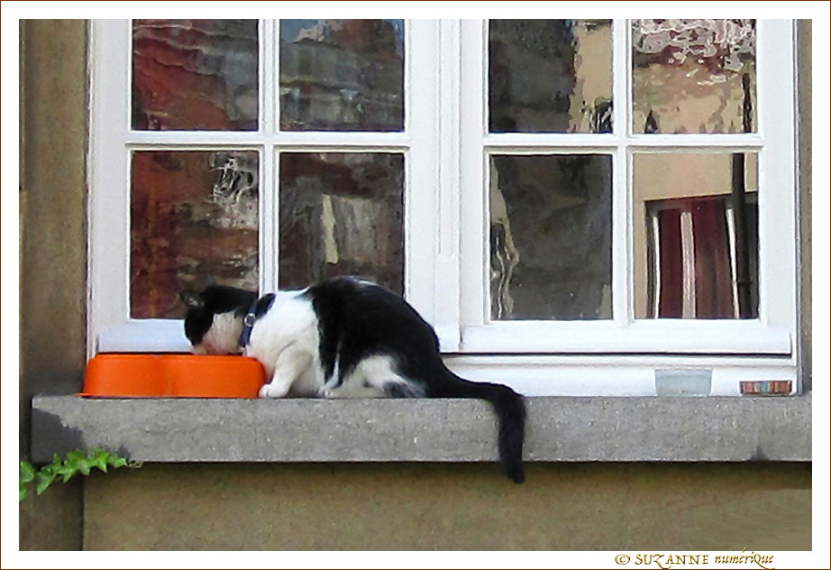 Manger � gauche et Boire � droite