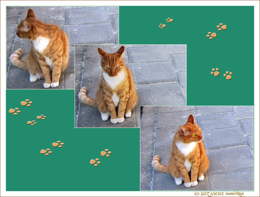 Non�! Je ne veux pas �tre pris en photo�!