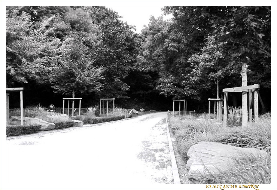 Par les Chemins... -- 01/08/17