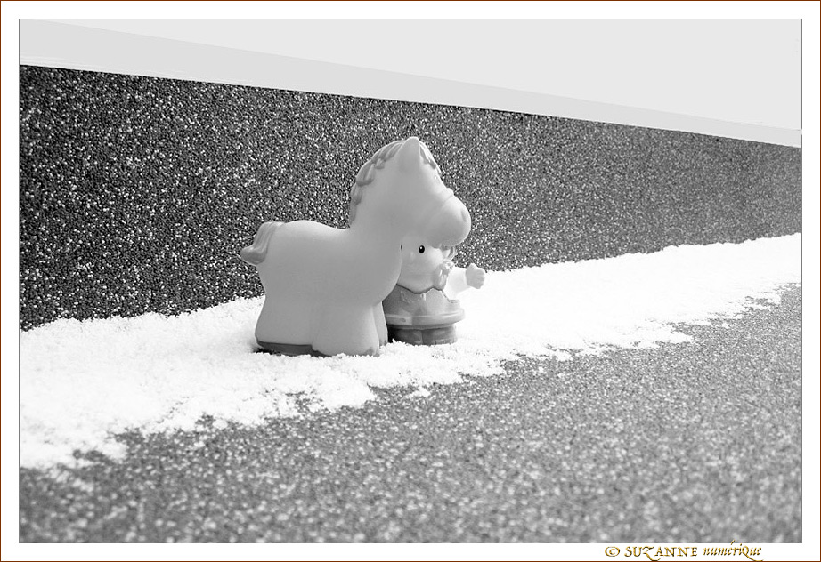 Pauvre P'tiTrot, tu es Perdu�! -- 25/03/13