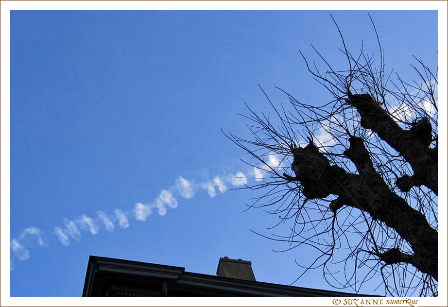 Temps doux et piquant -- 22/02/11
