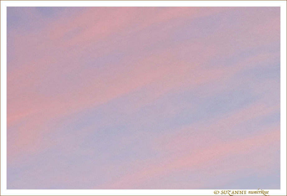 En Rose et Bleu -- 12/03/17