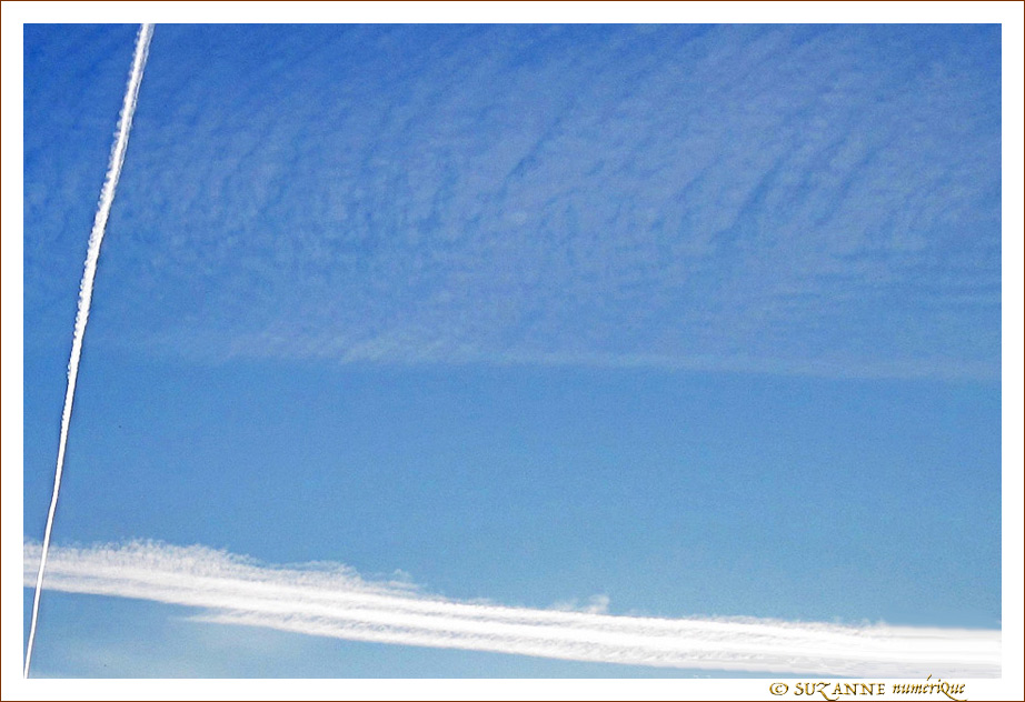 Tout est une Question de Bon Sens -- 25/01/16