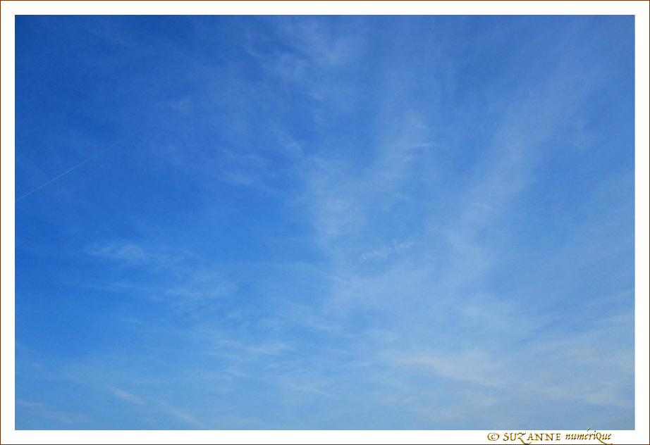 Quand certains partent en vacances -- 12/07/11