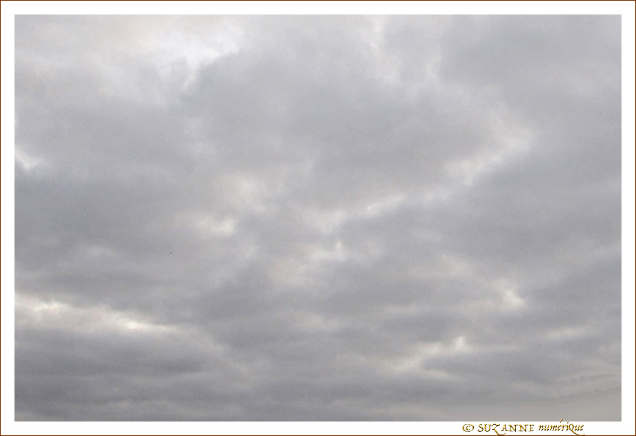 Pr�visions du Temps -- 28/01/12