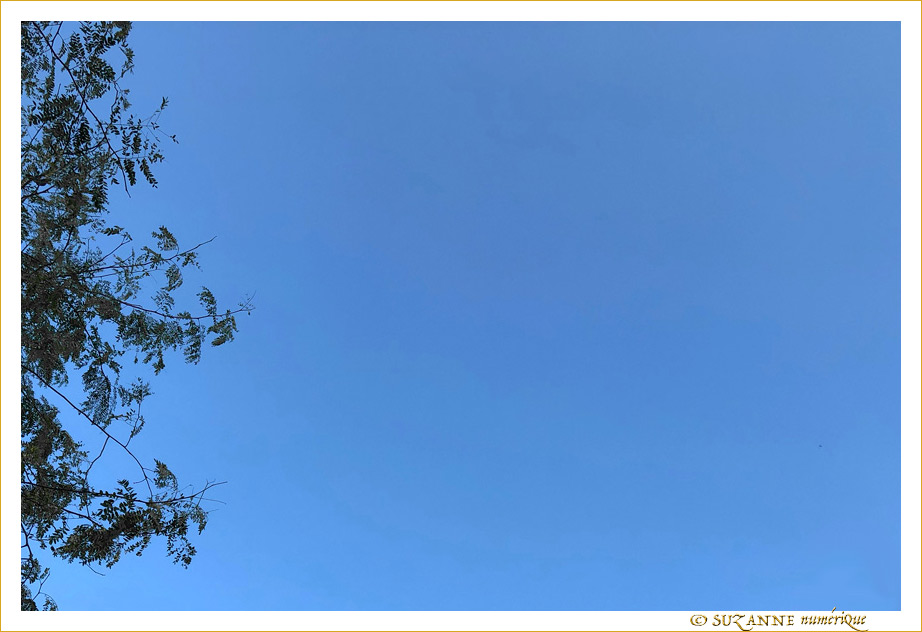 Le Ciel Mi-Novembre 2019 -- 19/11/19