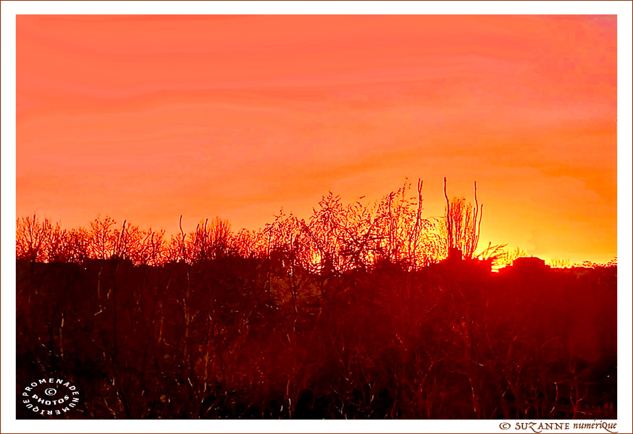 Ciel de D�cembre 2025 -- 21/12/25