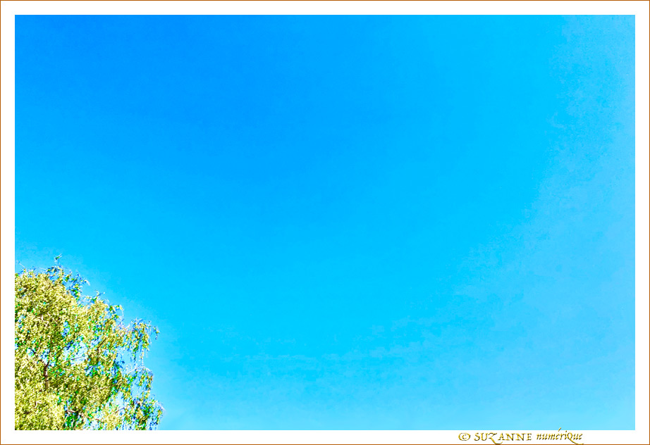 En Bleu, l'�t� 2023 -- 16/08/23