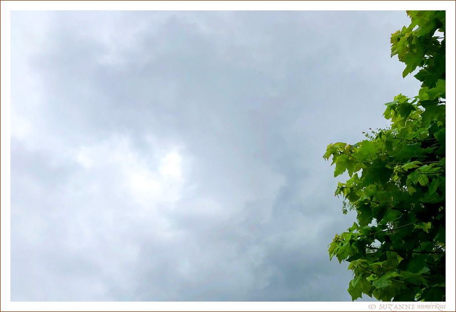 Ciel d'�t� triste � Bruxelles - 22 juin 2024 -- 26/06/24