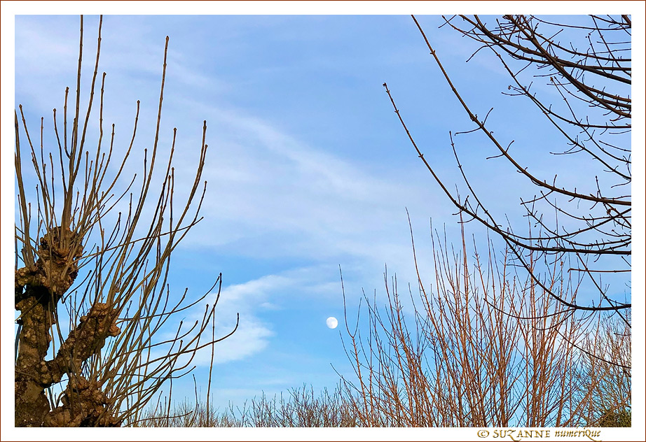 Par un apr�s-midi Ensoleill� - janvier 2022 -- 16/01/22