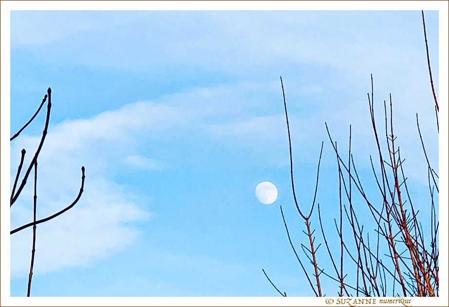 Lune Gibbeuse Croissante - janvier 2022 -- 19/01/22