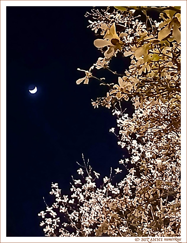 Le Ciel - 15 mars- 2026 -- 16/04/26