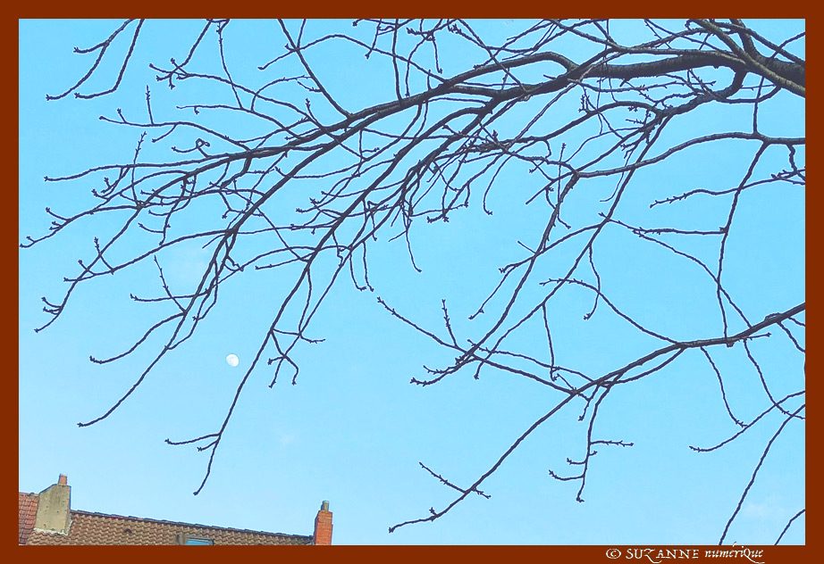 Un apr�s-midi d'Hiver -001- 2023 -- 12/03/23