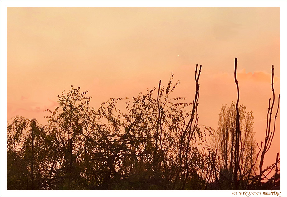 V'l� l'Automne 2025 -03- -- 29/11/25