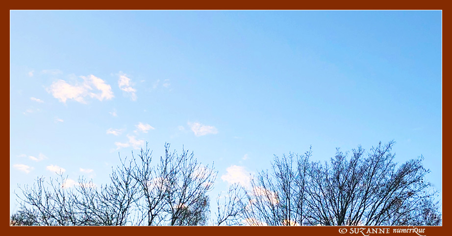 28 Novembre 2023 - 1� Celsius -- 30/11/23