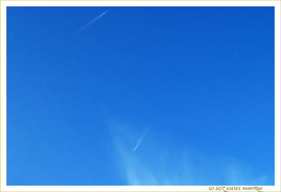 Pique et Plume -- 25/02/09