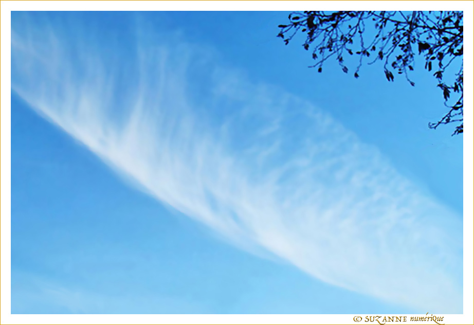 Plume dans le ciel -- 28/02/09