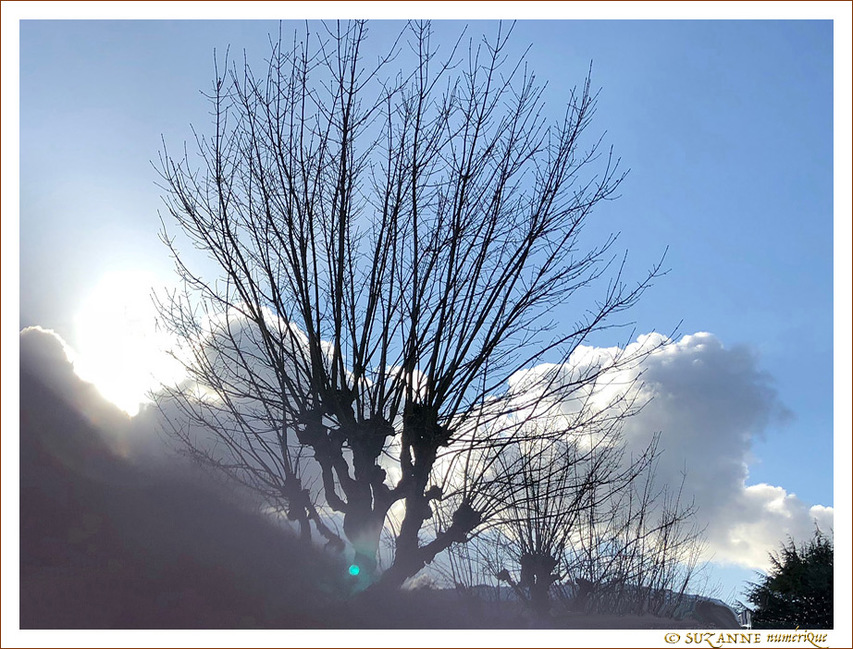 �blou�e -- 10/03/18