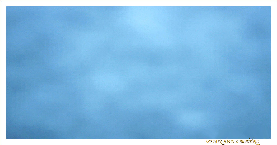Pr�visions 2011 -- 30/12/10