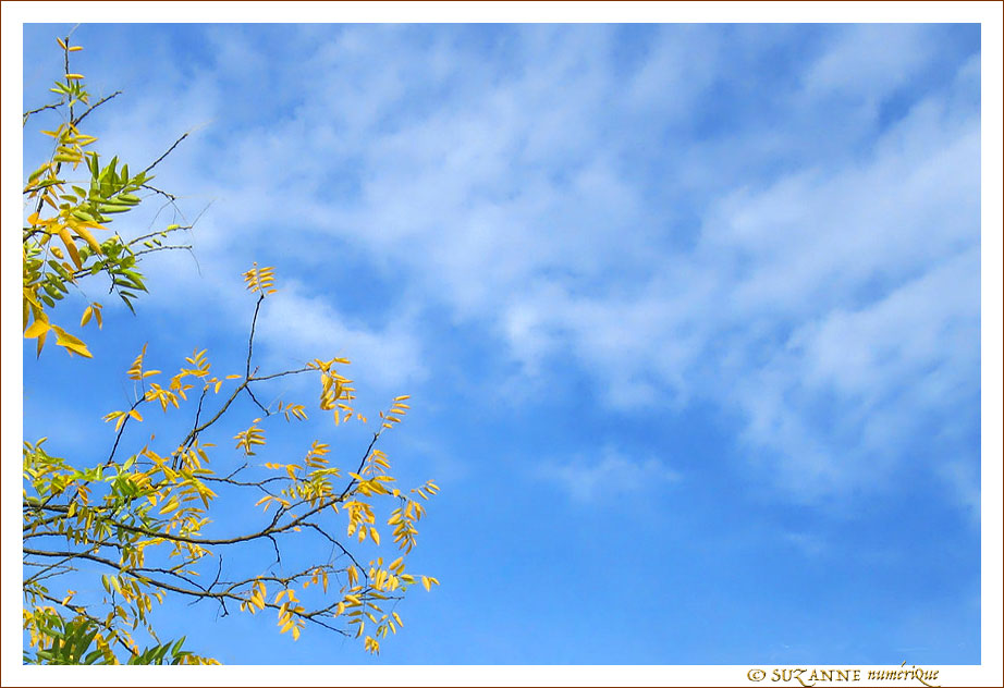 L'Automne se dit�: Ciel c'est le Printemps -- 08/10/10