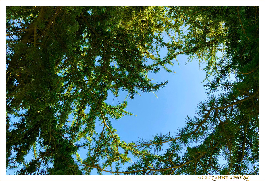 Copain Copain -- 09/01/20