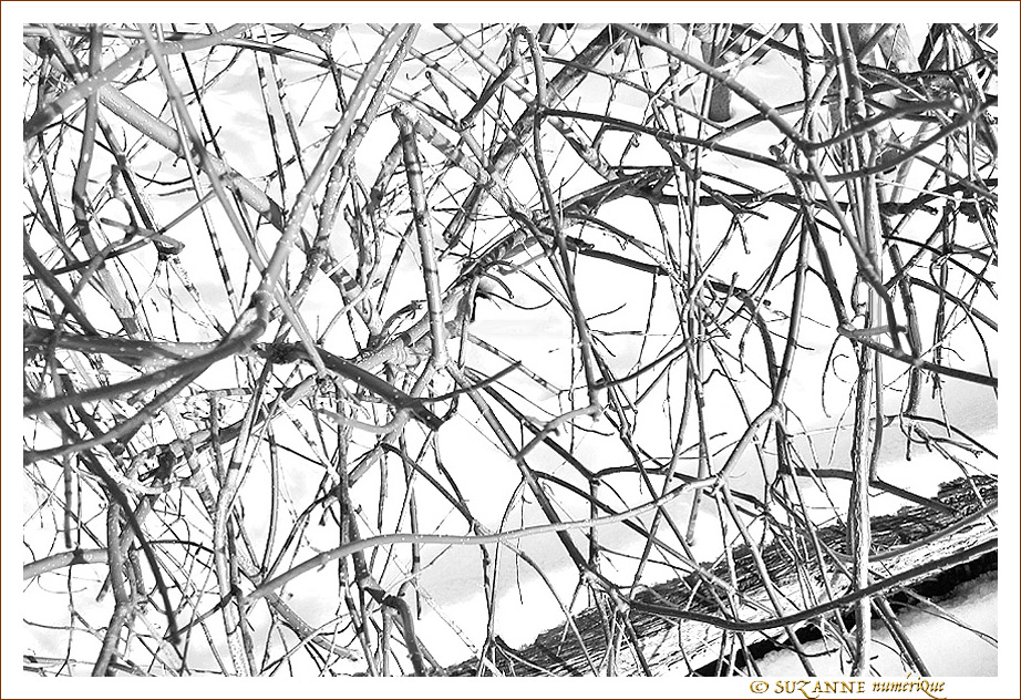 S'emm�ler et se D�m�ler -- 12/02/13