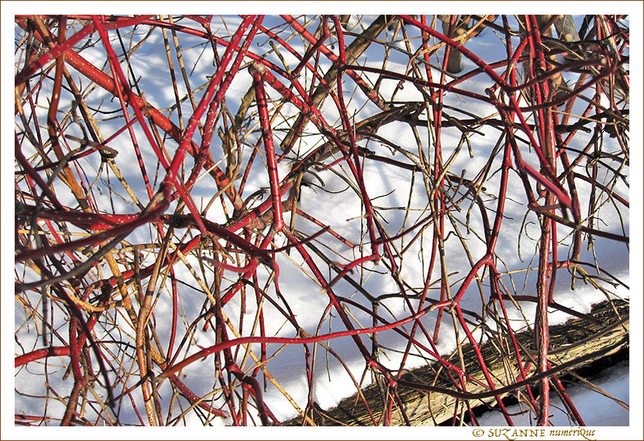 Enchev�trement Rouge et Blanc -- 09/02/13
