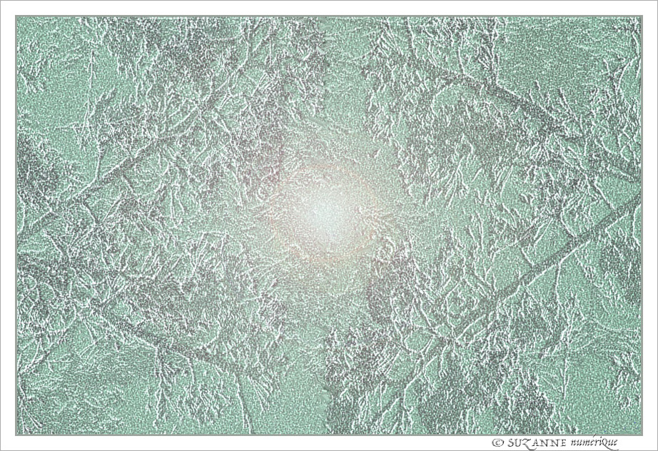 Au revoir Automne - Bonjour Hiver -- 18/12/20