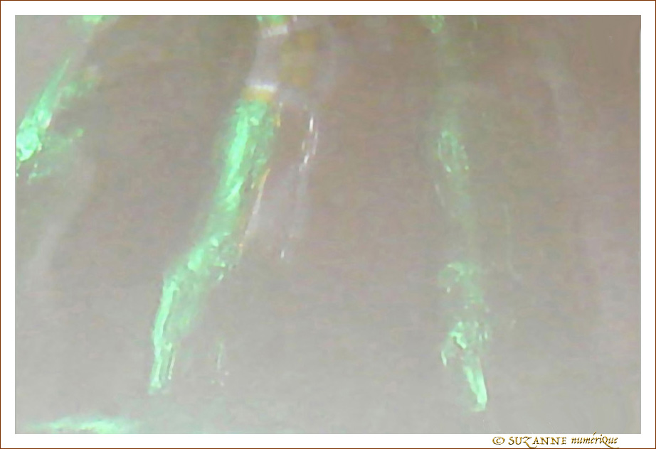 Spectre�? -- 26/05/07