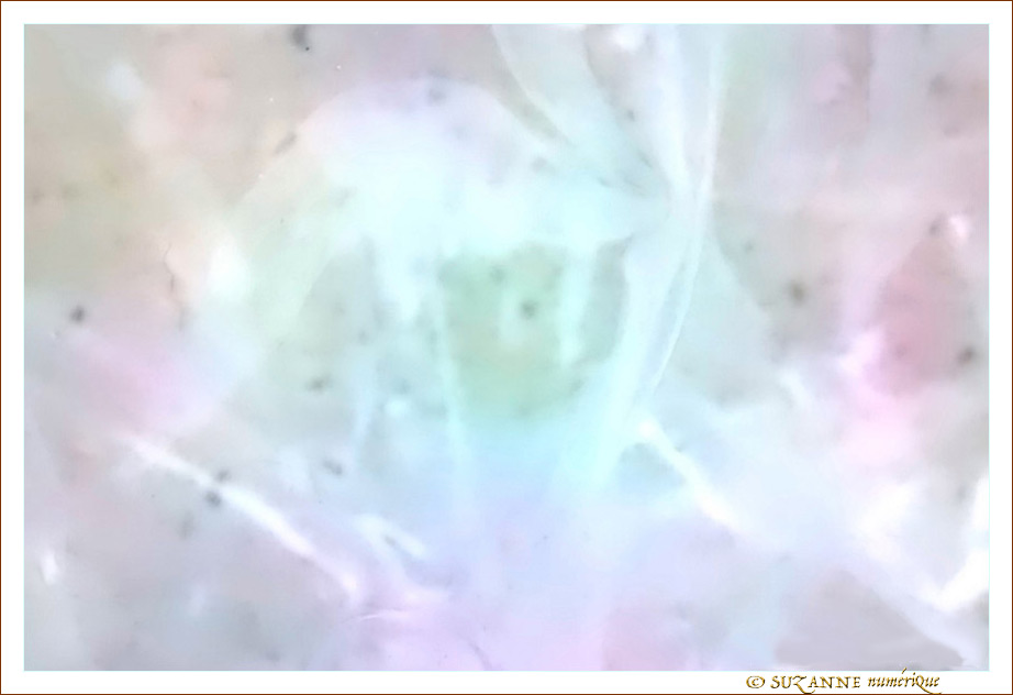 Oeil�! -- 12/01/13