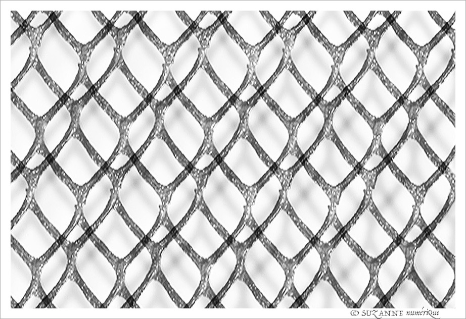 Grillages -- 08/04/20
