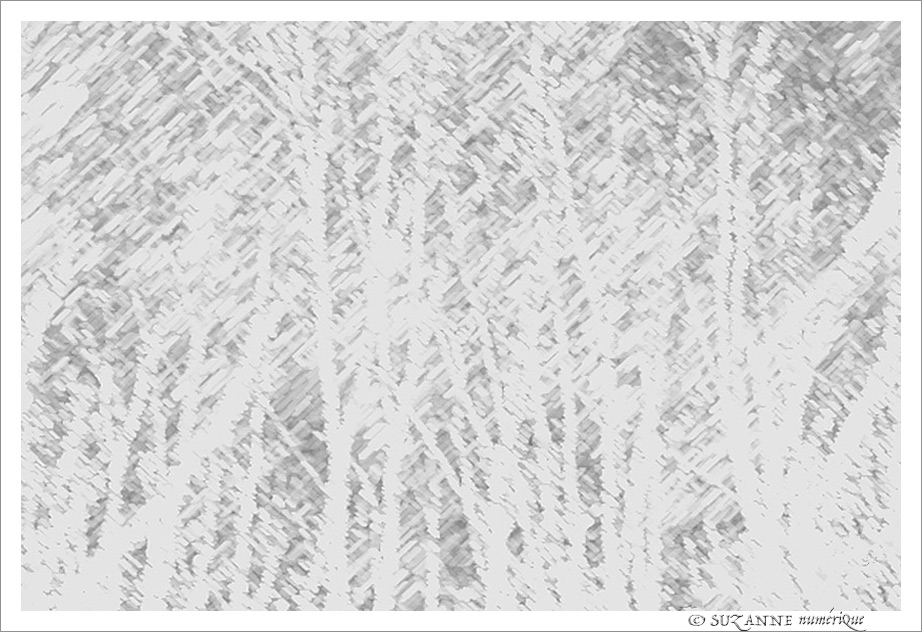 Trop Froid -- 02/03/18